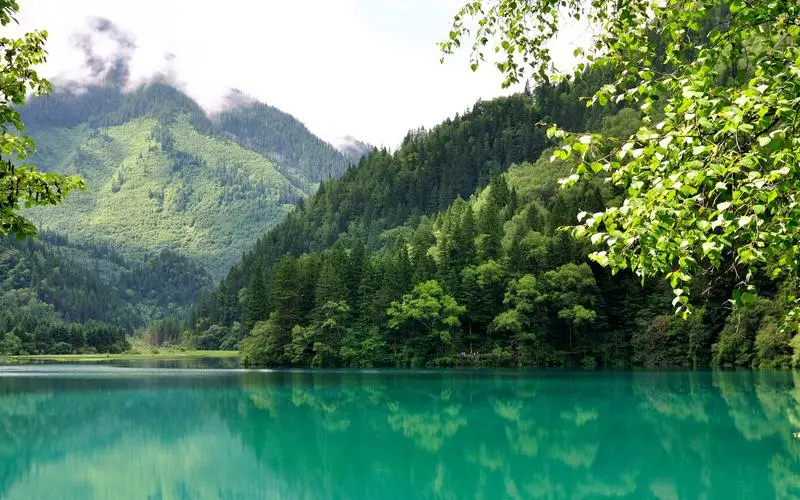 高性能高效智能